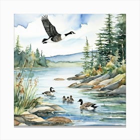 Canadian Geese 21 Canvas Print