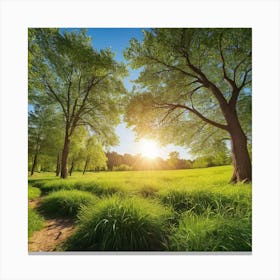 Campagna  Canvas Print