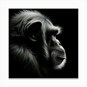 Chimpanzee Portrait Canvas Print