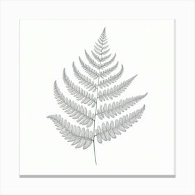 Line Art fern leaves 3 Canvas Print