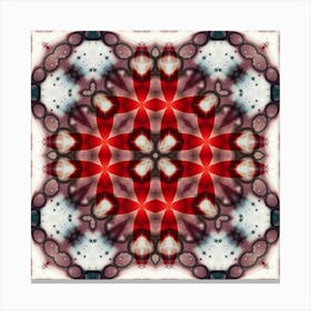 Modern Art The Pattern Is Symmetrical Canvas Print