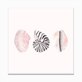 Seashells2 Canvas Print