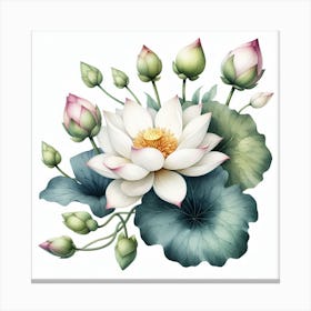 Lotuses 8 Canvas Print