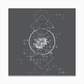 Vintage Alpine Rose Botanical with Line Motif and Dot Pattern in Ghost Gray 1 Canvas Print