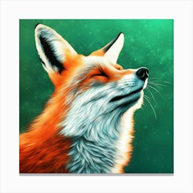 Red Fox Canvas Print