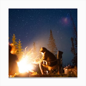 Campfire At Night Canvas Print