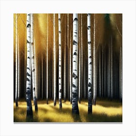 Birch Forest 32 Canvas Print