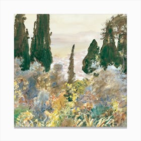 Cypress Trees 1 Canvas Print