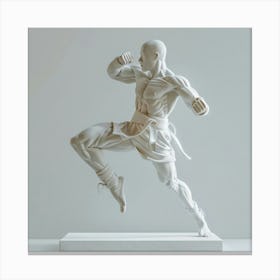 Karate Statue Canvas Print