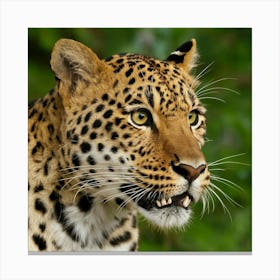 Leopard 2 Canvas Print