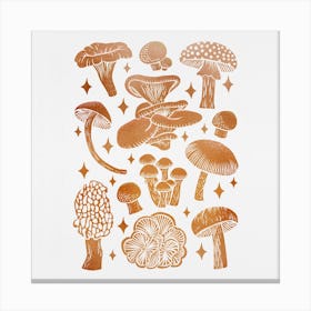 Texas Mushrooms   Copper Metallic Square Canvas Print