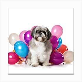 Shih Tzu With Balloons Canvas Print