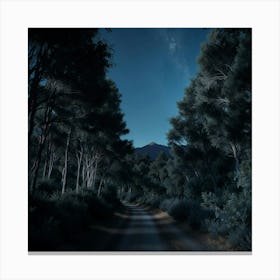 Dark Forest At Night Canvas Print