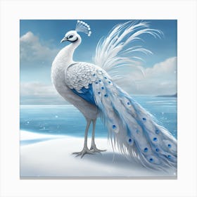 Peacock 2 Canvas Print