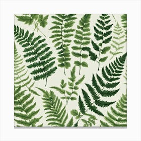 Fern Leaves 14 Canvas Print