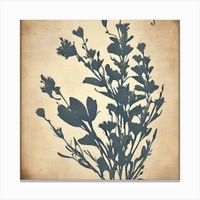 Wildflowers Flax3 Floral Botanical Vintage Poster Flower Art Print Canvas Print