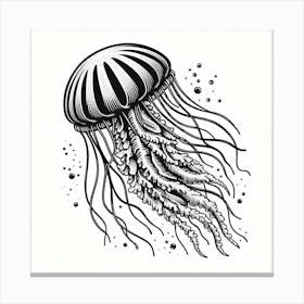 Illustration Jellyfish 8 Canvas Print