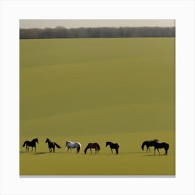 Horses In A Field 8 Canvas Print