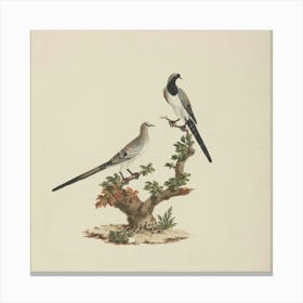 Doves On A Branch Canvas Print