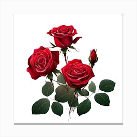 Red Roses 8 Canvas Print