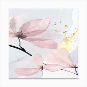 Magnolia Canvas Print