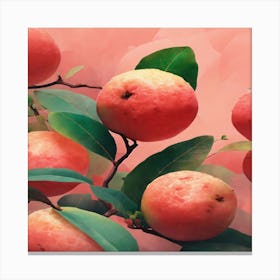 Guavas Canvas Print