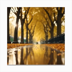 Avenue of Golden Sycamore Trees after the Rain Canvas Print