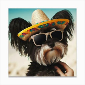 Dog Wearing A Sombrero Canvas Print