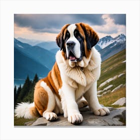 St Bernard Dog 44 Canvas Print