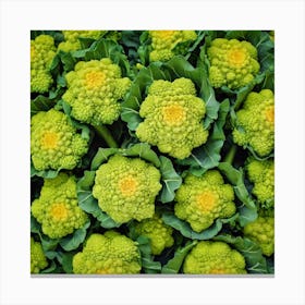 Florets Of Cauliflower 1 Canvas Print