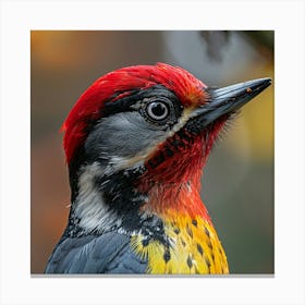 Woodpecker Canvas Print