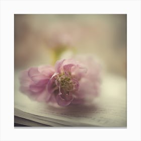 A Close Up Of A Delicate Book Bud Just Beginning To Bloom, With Soft Petals And Hints Of Vibrant Col (2) Canvas Print