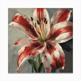 Red Lily Canvas Print