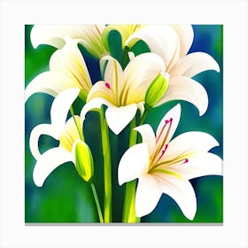 White Lilly 4 Canvas Print