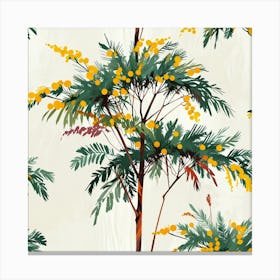 Mimosa tree Canvas Print