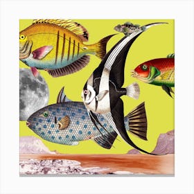Fish World Yellow Square Canvas Print