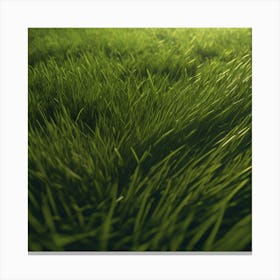 Grass Field 18 Canvas Print