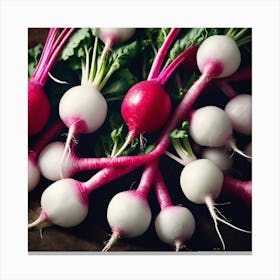 Radishes 36 Canvas Print