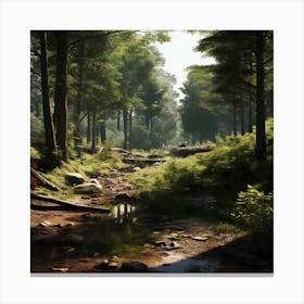 Forest Scene Canvas Print