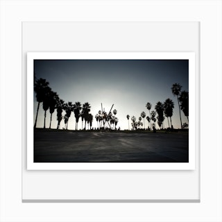 V Canvas Print