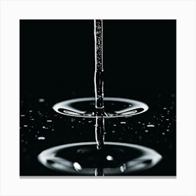 Water Droplet 1 Canvas Print