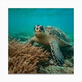 Sea Turtle 1 Canvas Print