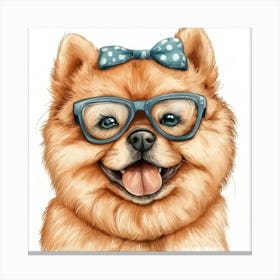 Pomeranian 3 Canvas Print