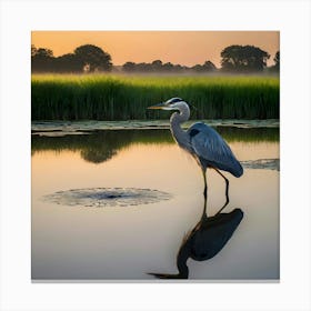 Blue Heron At Sunrise Canvas Print