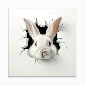 Rabbit In A Hole Canvas Print