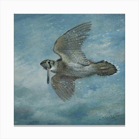 Hawk In Flight Canvas Print