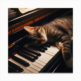 Cat Sleeping On Piano 1 Canvas Print