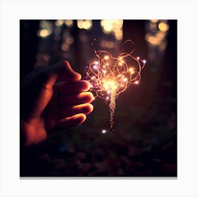 Sparkler Canvas Print