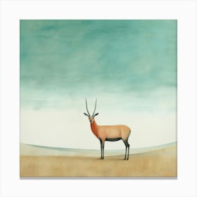 Antelope 1 Canvas Print