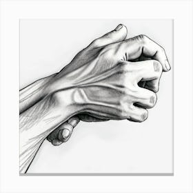 Pair Of Hands Canvas Print